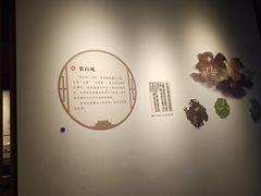 -四川宋瓷博物馆