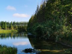 -黄海国家森林公园