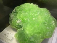 -湖南省地质博物馆