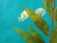 -欢乐海岸海洋奇梦馆