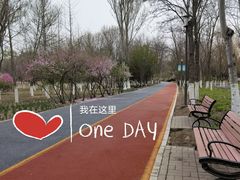 -大兴滨河森林公园