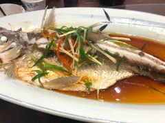 -醉美东江·三文鱼·烧鸡公