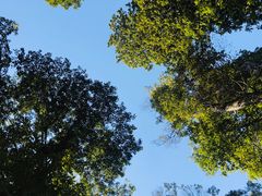 -白鹭湾湿地公园