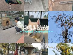 -青岛鑫江温德姆酒店