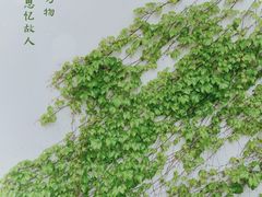 -汉庭优佳(上海娄山关路地铁站店)