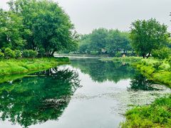 -杭州双溪漂流景区