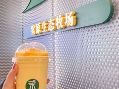 -茉酸奶(春熙路店)