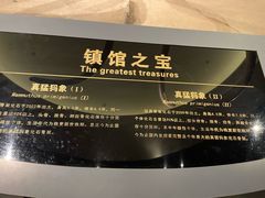 -大庆市博物馆