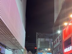 -京悦南门涮羊肉·羊蝎子火锅(田林路店)