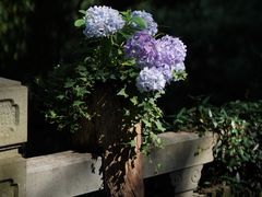 -城隍阁