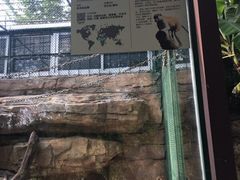 -泉州海丝野生动物世界