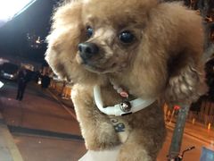 -豪都大酒店(广西南路41号店)