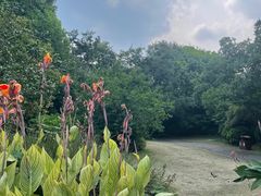 -桃花岛景观公园