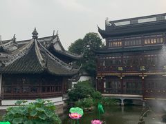 -豫园湖心亭茶楼