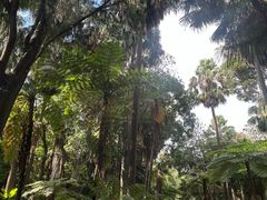 -墨尔本皇家植物园