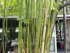 -新竹里馆·花园餐厅(兴苑路店)