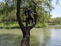 -天都火锅酒楼(虹梅南路店)