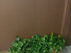 -秦家味老菜馆(民族北路店)