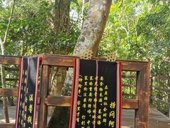-西双版纳基诺山寨