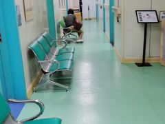 -北京观赏动物医院·24小时大型综合·猫专科·异宠专科
