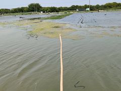 -梁鸿国家湿地公园