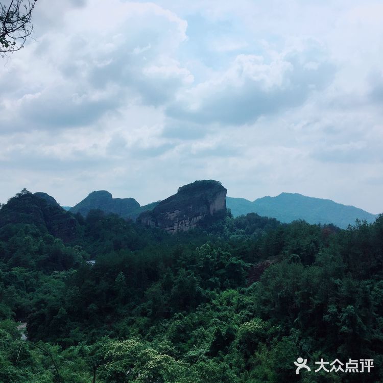 令我惊喜的是第一次看到开在悬崖边上的野百合