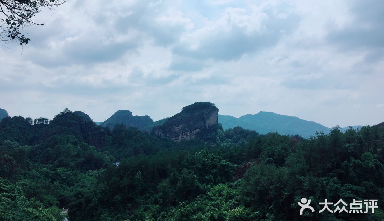 令我惊喜的是第一次看到开在悬崖边上的野百合