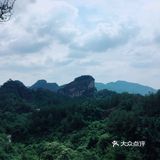 令我惊喜的是第一次看到开在悬崖边上的野百合