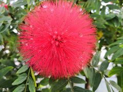 -北京植物园-展览温室