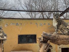 -青藏高原野生动物园