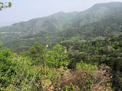 -木兰云雾山