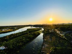-春花秋色城市公园
