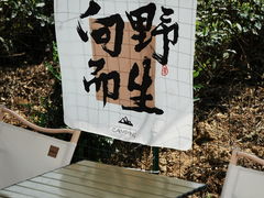 -龙坞茶村