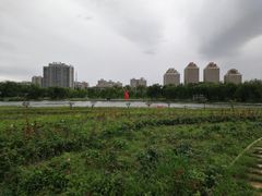 -廊坊文化艺术中心