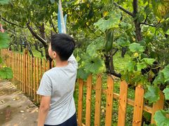 -香木香羊(小汤山店)