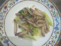 -新光酒家·河豚·海鲜·蟹料理(浦东店)