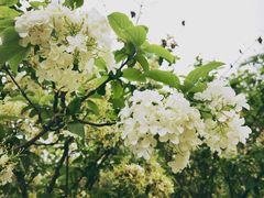 -大龙山(地铁站)