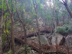 -大岭沟猕猴桃谷风景区