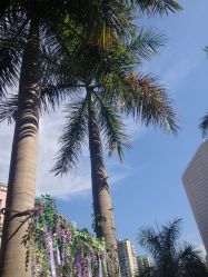 IMG_7262-玛莎莉莉全球旅拍