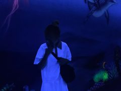 -南昌融创海世界