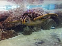 -福州罗源湾海洋世界旅游区