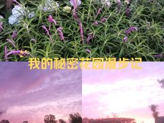 -春花秋色城市公园