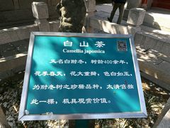 -青岛崂山太清宫