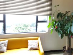 -柏乐口腔医院·舒适化无痛种植牙中心(东盟商务区院)
