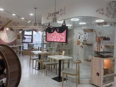 -喵园·猫主题咖啡厅·撸猫·猫咖(国贸店)