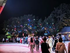 -三亚红色娘子军演艺公园景区
