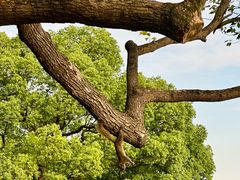 -西湖外事游船(湖滨二公园外事游船码头)