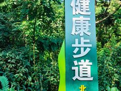 -北岭山森林公园