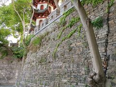 -川沙古镇-停车场