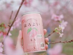 -天适樱花悠乐园